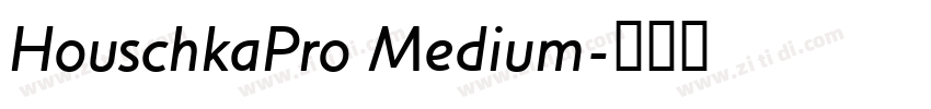 HouschkaPro Medium字体转换 HouschkaPro Medium字体转换